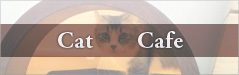 Cat cafe