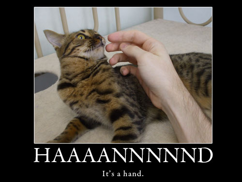 lol cat hand its a hand